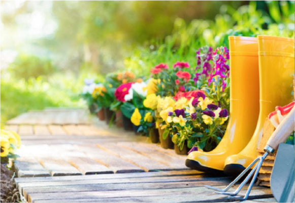 Bright yellow gardening boots and hand tools placed on a wooden deck next to colorful blooming flowers in a sunlit garden setting.